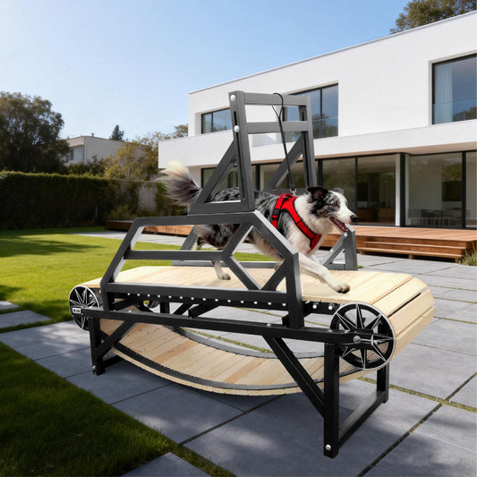 Large Medium Dogs Treadmill with Brake, up to 220lb Dog